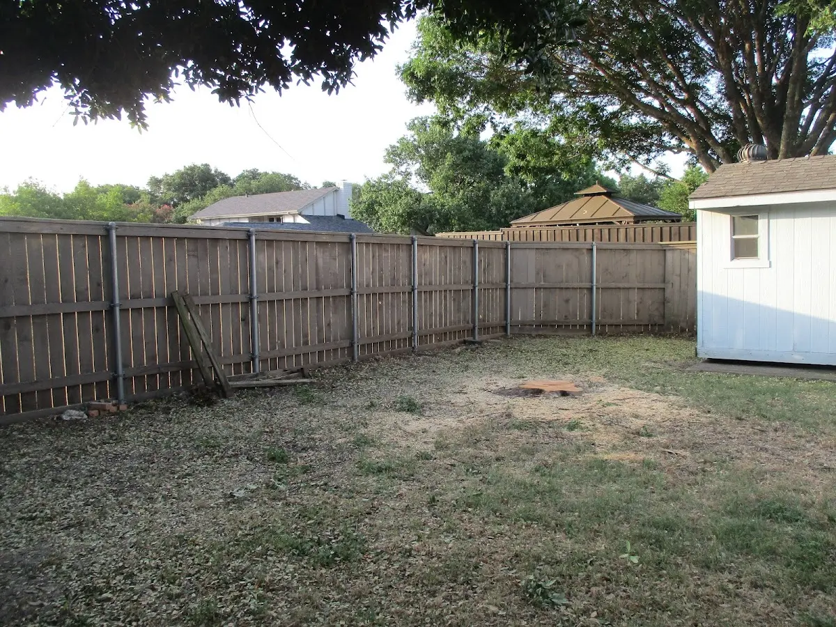 Cleared yard after professional tree removal in Marchand