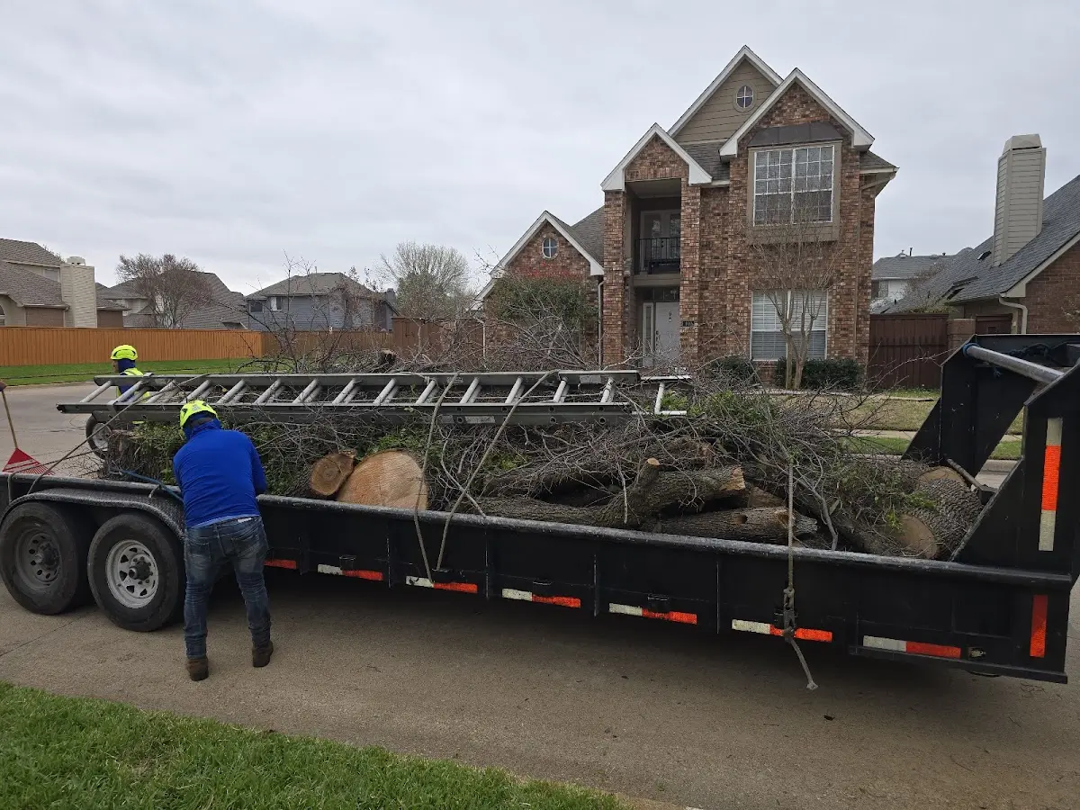 Expert Tree Fertilization with proper safety equipment in Marchand